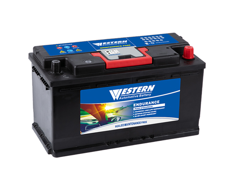 Western-DIN100-MF-Maintenance-Free-Car-Battery-.jpg