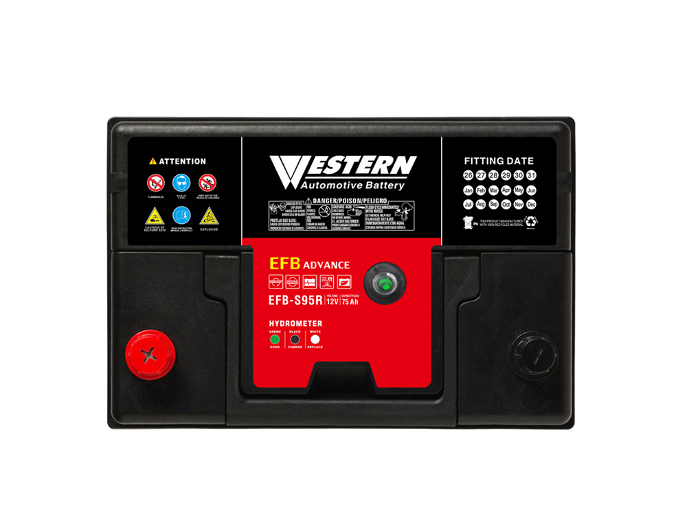 12V 75Ah EFB Start Stop Car Battery S95R China & Malaysia Factory - Western Electrical.jpg
