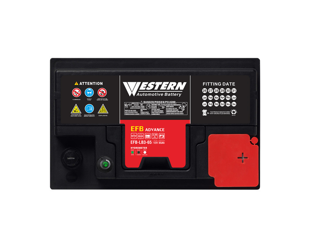12V 65Ah EFB Start Stop Car Battery LB3 China & Malaysia Factory - Western Electrical.jpg