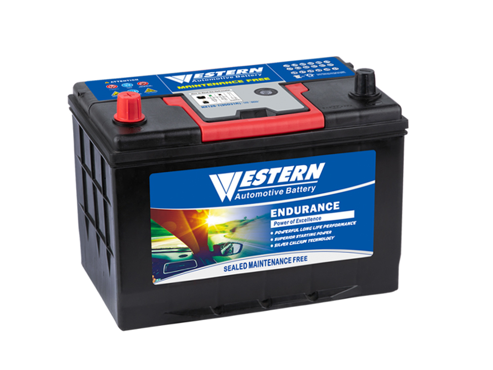WESTERN NX120-7(95D31R) Maintenance Free MF Auto Car Battery for Japan & Korea car.jpg