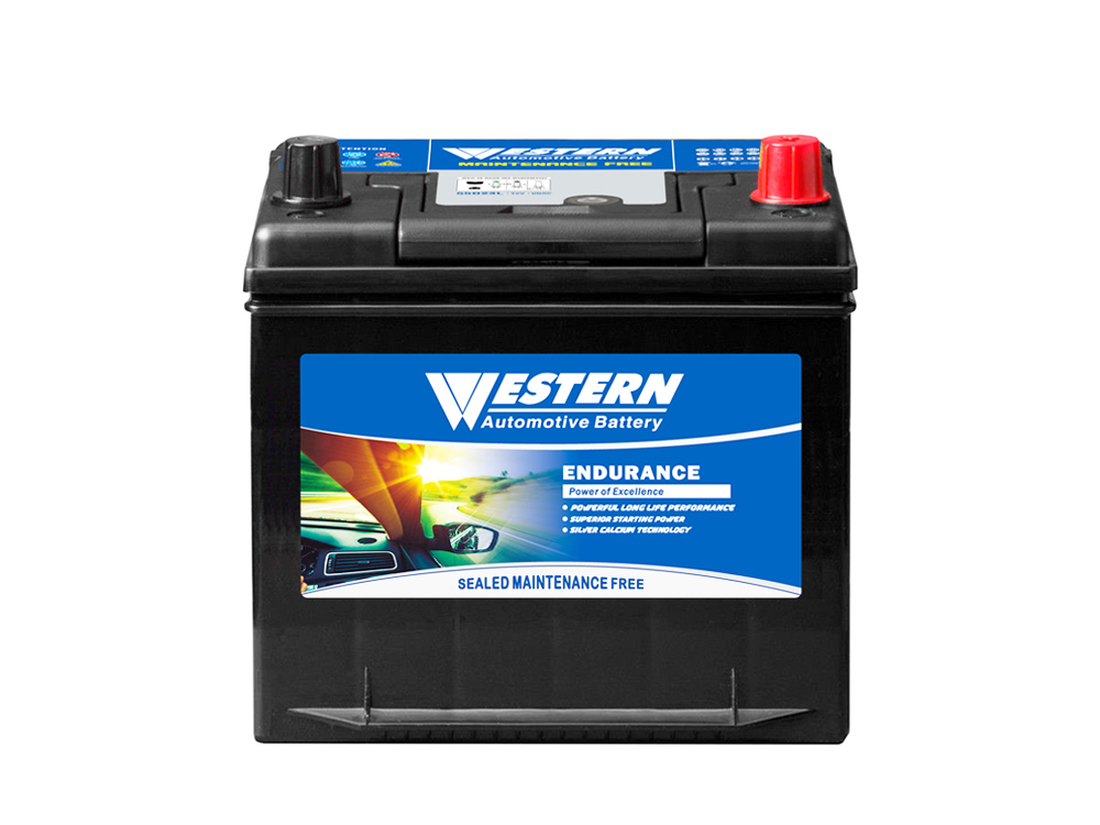 55D23L 12V 60Ah Batería de Auto y Carro MF Estándar JIS - WESTERN.jpg