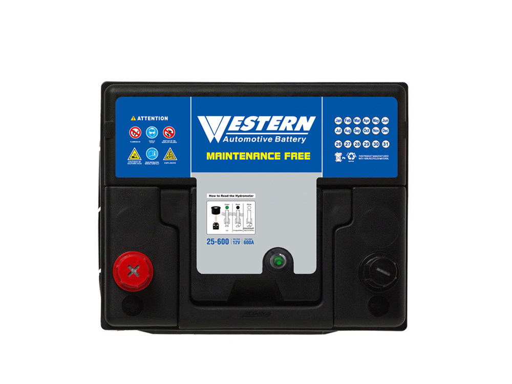 MF 25-600 Maintenance Free Auto Car Battery Manufacturer in China & Malaysia - Western Electrical.jpg