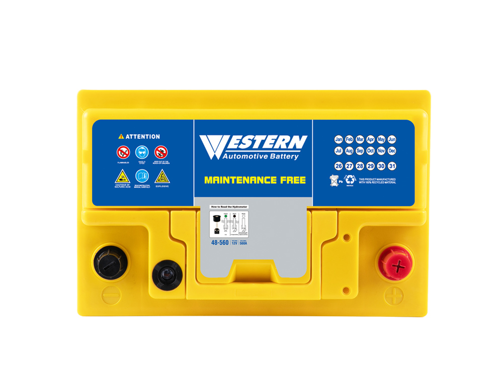 MF 48-560 Maintenance Free Auto Car Battery Manufacturer in China & Malaysia - Western Electrical.jpg