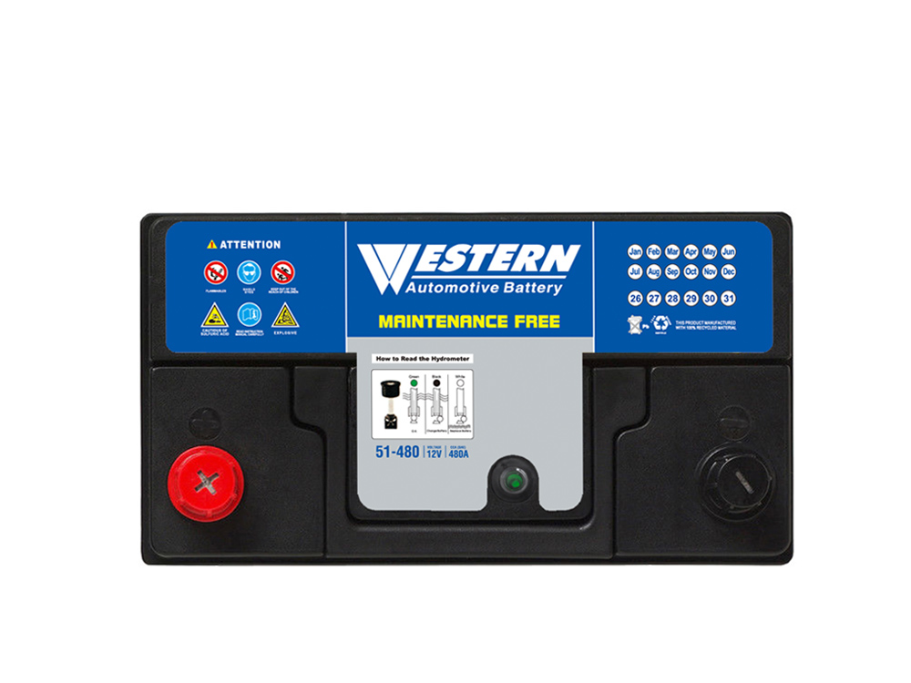 MF 51-480 Maintenance Free Auto Car Battery Manufacturer in China & Malaysia - Western Electrical.jpg