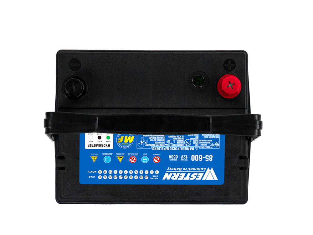 MF 85-600 Maintenance Free Auto Car Battery Manufacturer in China & Malaysia - Western Electrical.jpg