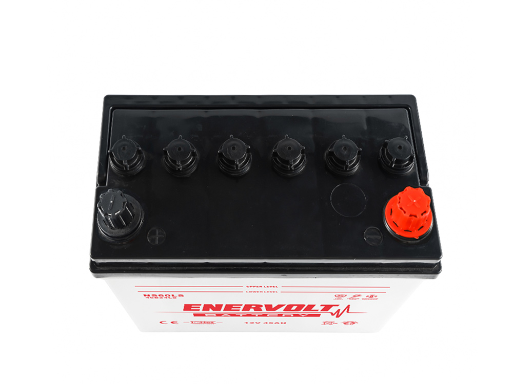 NS60LS-46B24LS dry charged auto car battery China manufacturer- Western Electrical.jpg
