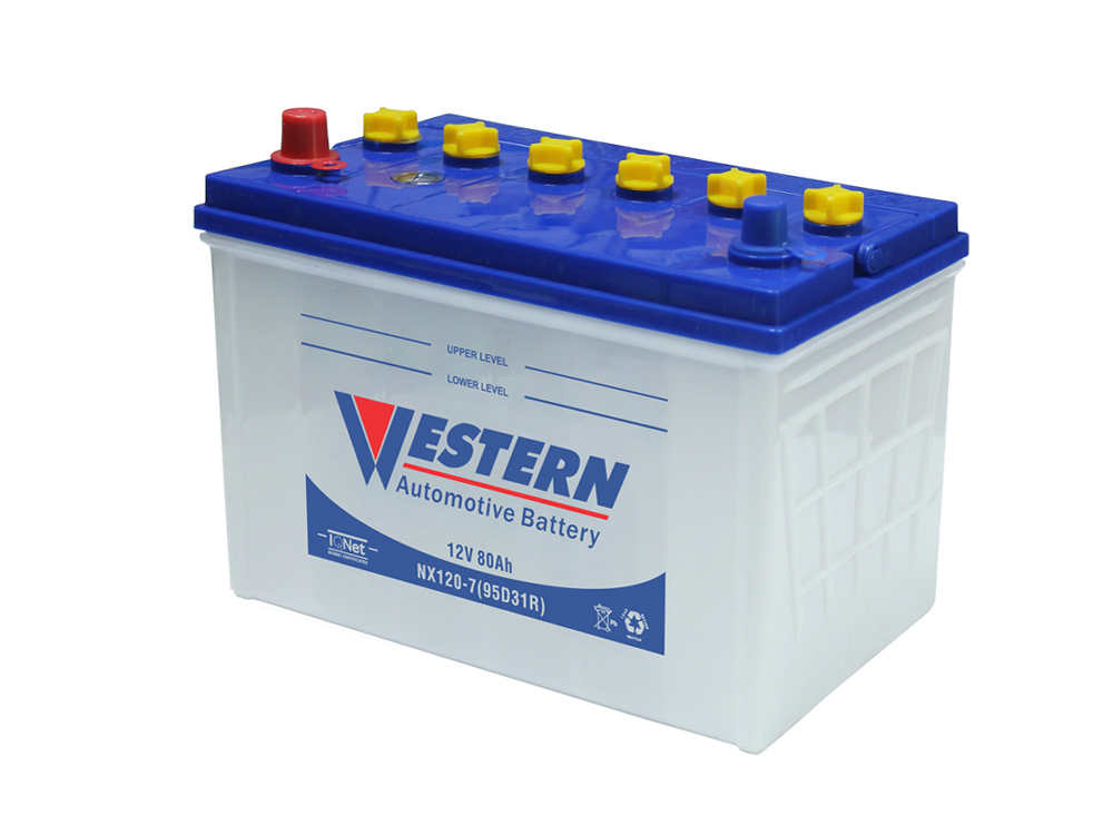NX120-7(95D31R) dry charged auto car battery China manufacturer- Western Electrical.jpg