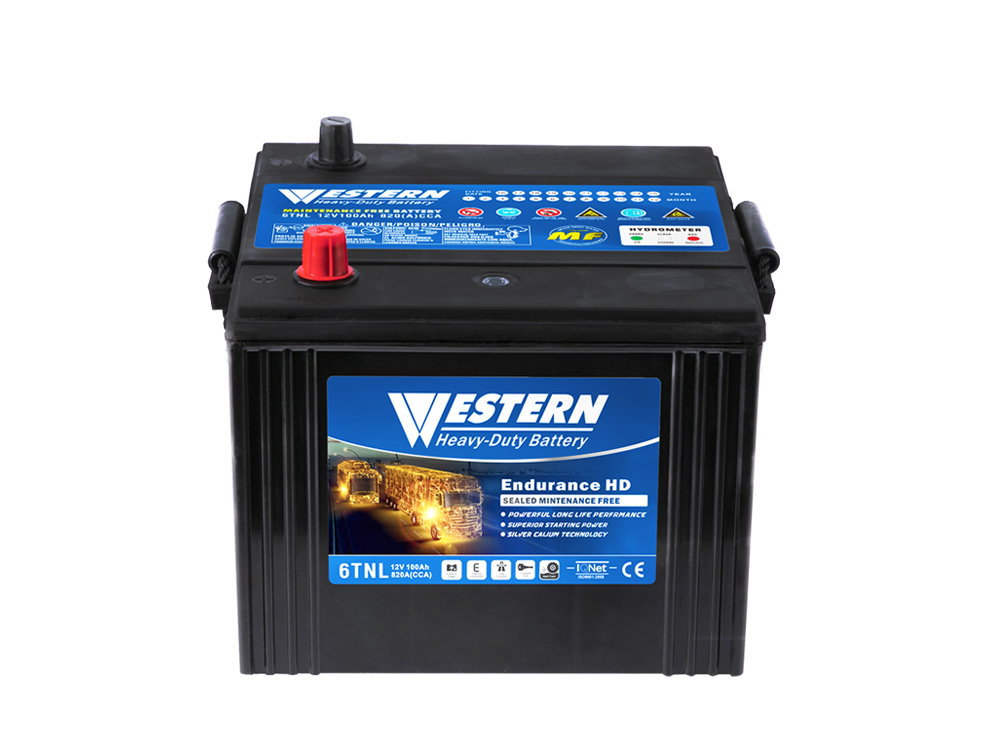 6TL (6TNL) MF heavy duty battery 12V 900Ah 800CCA NATO standard - WESTERN.jpg